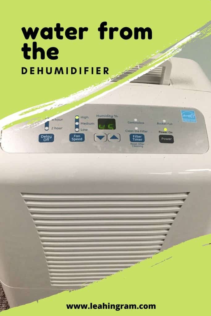When To Use A Dehumidifier: Everything You Need To Know