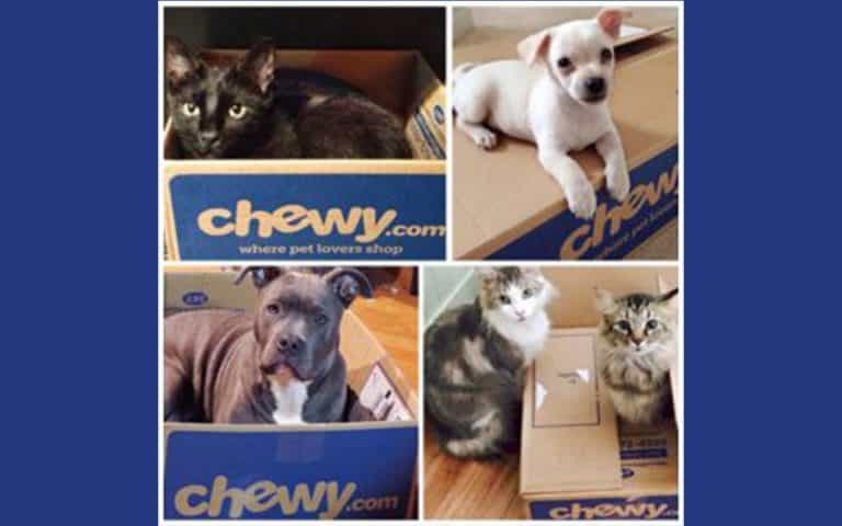 Chewy Pet Parents Autoship Review