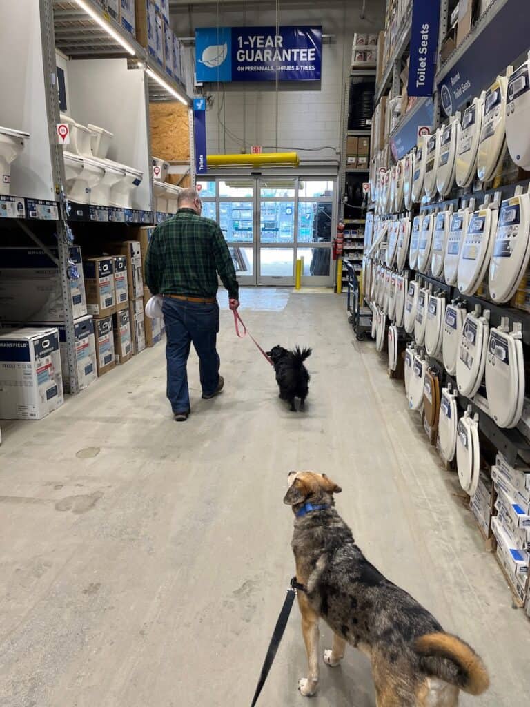 dogs at lowes store