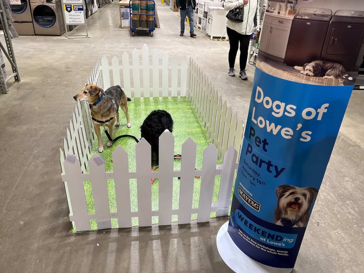 dogs of lowes pet party