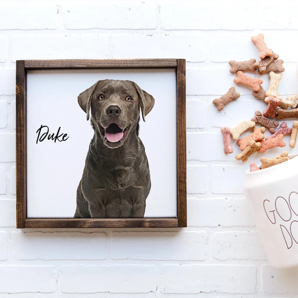 Framed picture of dog named Duke with dog biscuits in background.