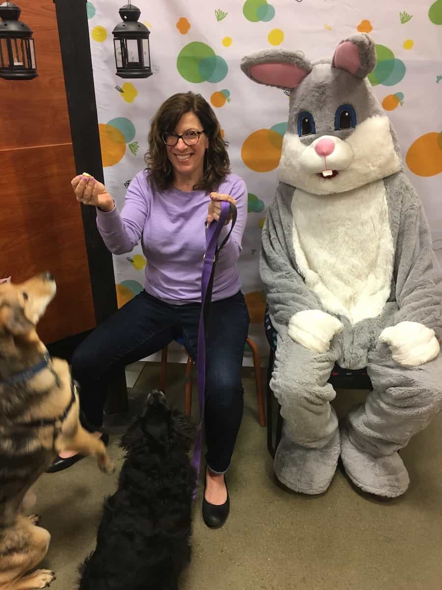 A woman in an easter bunny costume, wearing the best wide width shoes, sits next to two dogs.