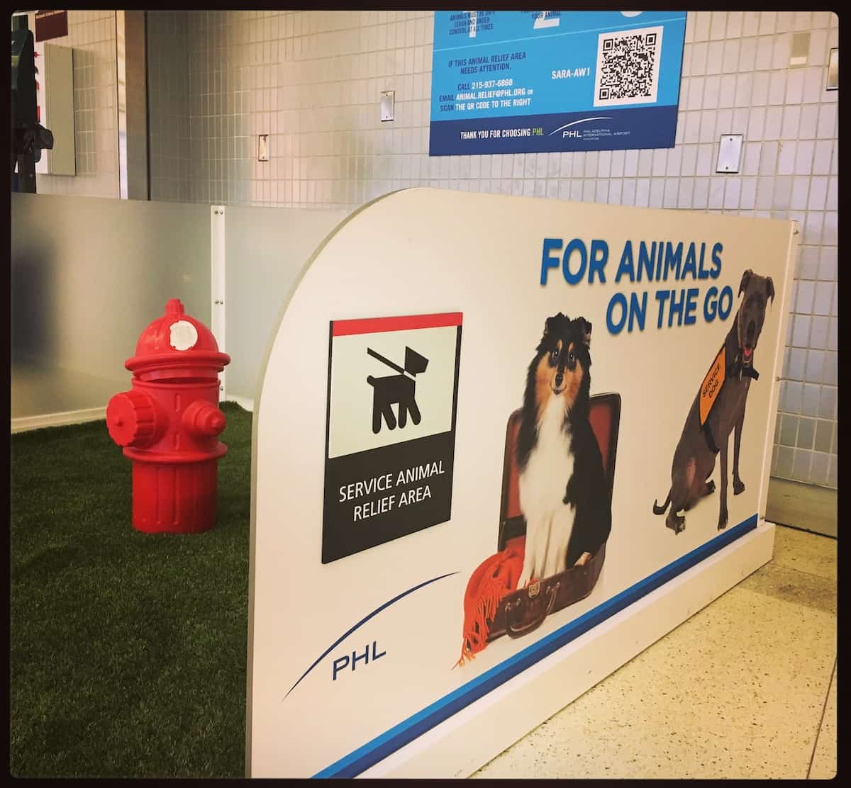 pet friendly airports phl