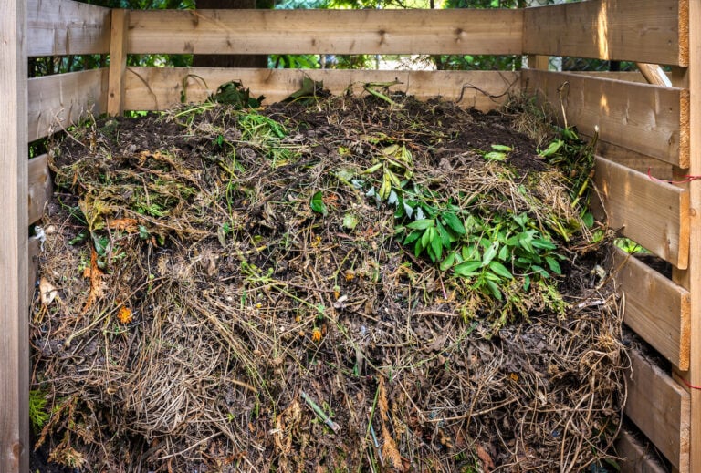 How Long It Takes These 17 Everyday Items to Decompose - 2026