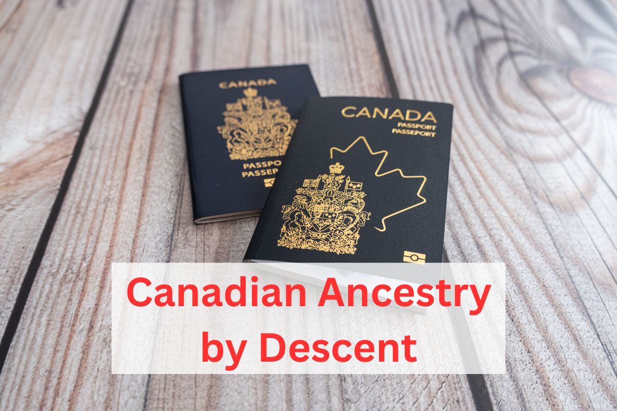 Canada passport on wood background.